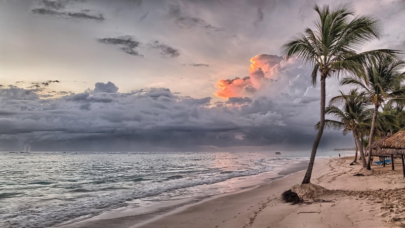 Caribbean Fusion